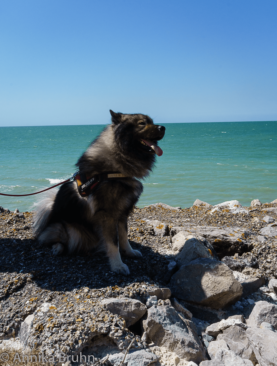 Q am Meer
